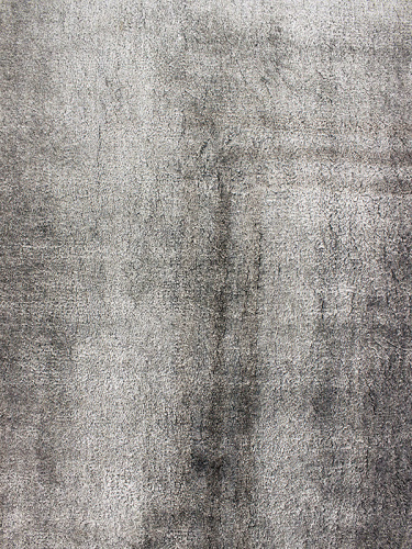 22-SILVER/nasi/300x250 фото 3
