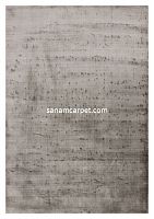 22-SILVER/240x170