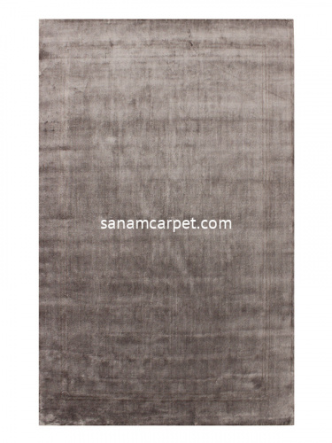 22-SILVER/nasi/400x300