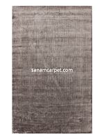 22-SILVER/nasi/200x150