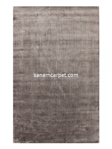 22-SILVER/nasi/200x150