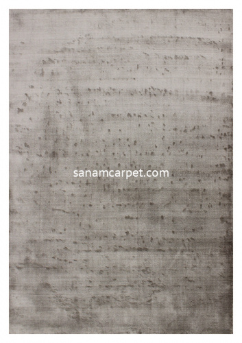 22-SILVER/500x350